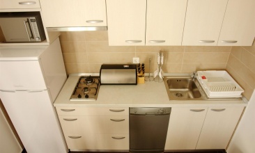 Vila Predrag, Apartman 4+2 a, Betina