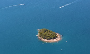 Sustipanac